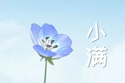 小满祝福语2022 小满节气文案祝福语 小满祝福语2022 小满节气文案祝福语