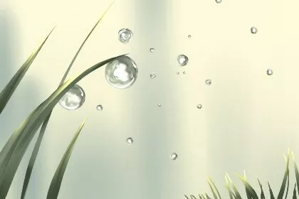 2022年白露在什么时间几点几分 白露节气各地风俗 2022年白露在什么时间几点几分 白露节气各地风俗
