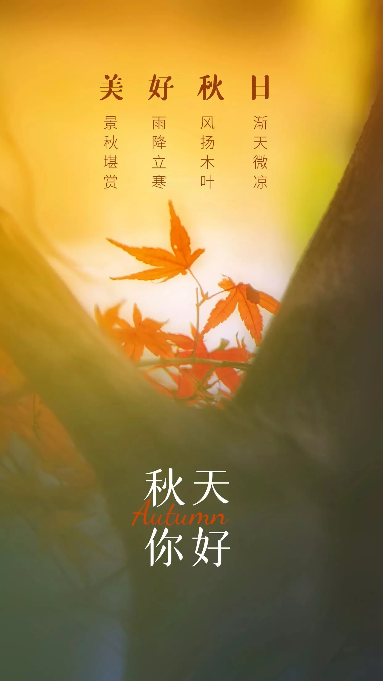 秋天你好图片配图唯美带字，秋天海报简单