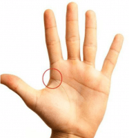 16288361513162887194.png thumb_300_200_1601561063572450.png