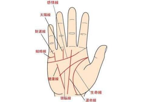 财运线是哪一条女女人有没有财运看哪里 黄历网